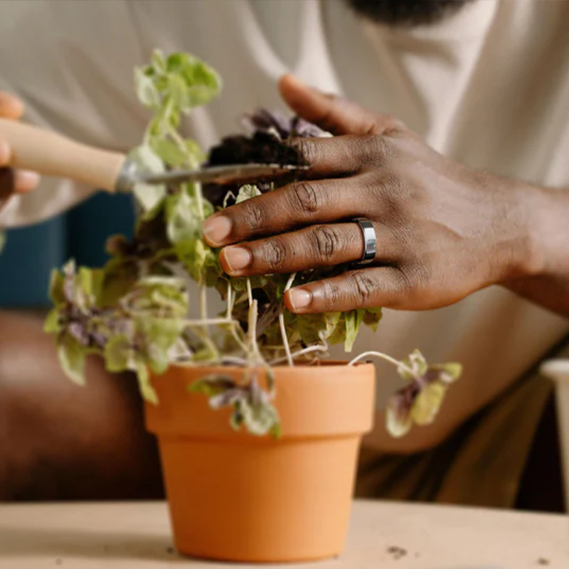 🔝 Transform Your World in an Instant: The Alisanda Smart Ring Does It All!