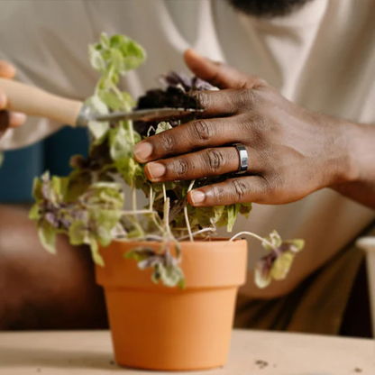 🔝 Transform Your World in an Instant: The Alisanda Smart Ring Does It All!